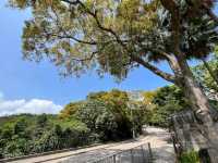 Wong Nai Chung Reservoir Park黃泥涌水塘公園
