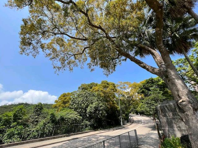 Wong Nai Chung Reservoir Park黃泥涌水塘公園
