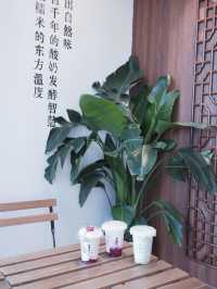 𖤣𖧧深圳手搖𖥧𖤥輕酸奶味，重水果