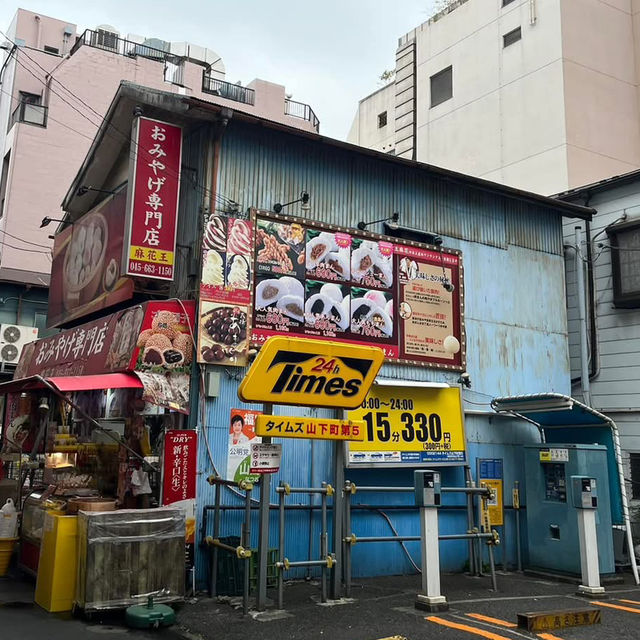 🌊🌸 Yamashita Park & Yokohama Chinatown – A Perfect Stroll 🥟🛍