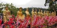 Ten Thousand Buddhas Monastery (Man Fat Sze)