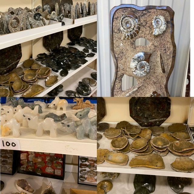 Morocco's Ammonite Crafts Treasures! 🐚 Morocco's Ammonite Crafts Treasures! 🐚