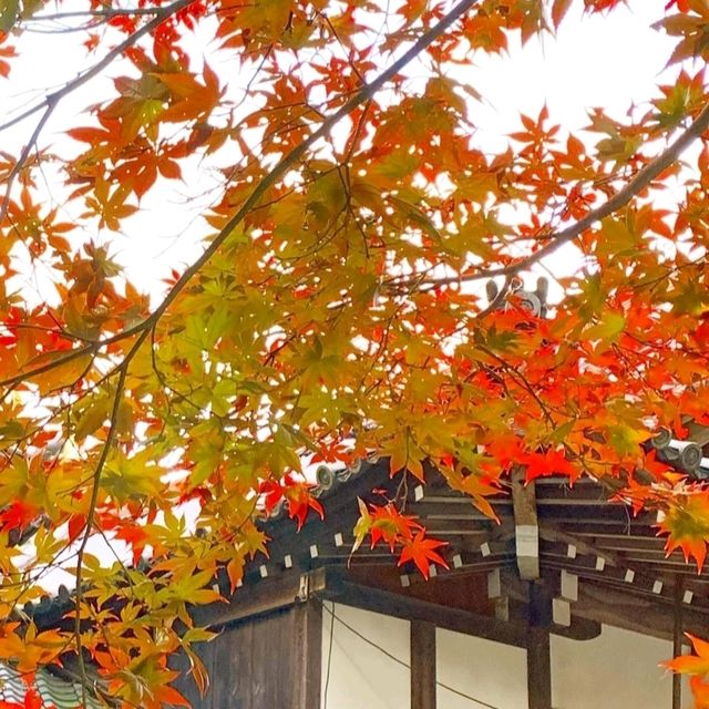 【龍神信仰の証】室生龍穴神社 拝殿と手水舎に刻まれた歴史