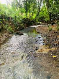 Stream in Samar Philippines 🇵🇭