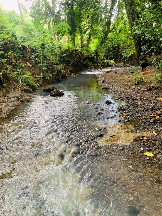 Stream in Samar Philippines 🇵🇭