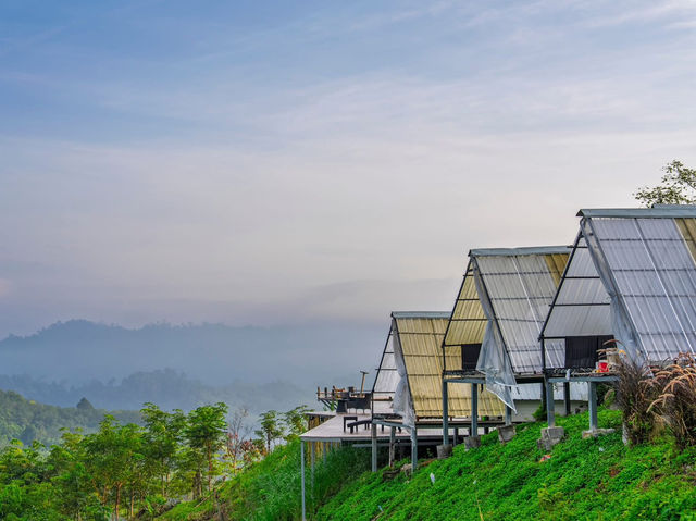 🌱🌾พิปูน นครศรีธรรมราช🌾🌱