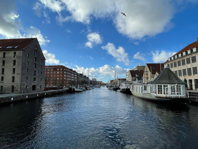 Where Everyday Moments Feel Effortlessly Beautiful in Copenhagen