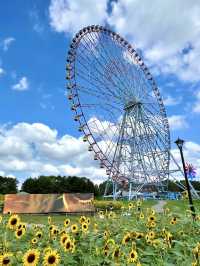 🎨 Art Meets Nature at Kasai Rinkai Park