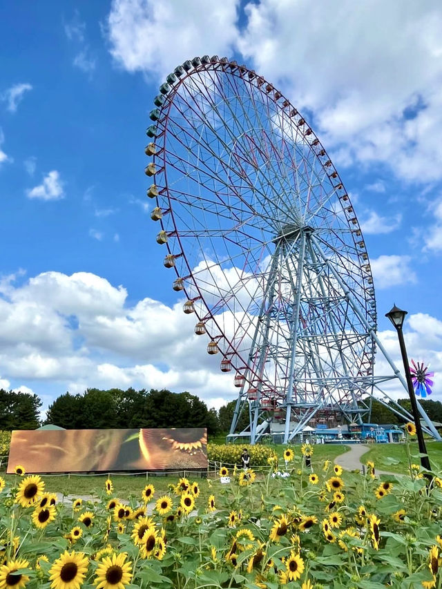 🎨 Art Meets Nature at Kasai Rinkai Park