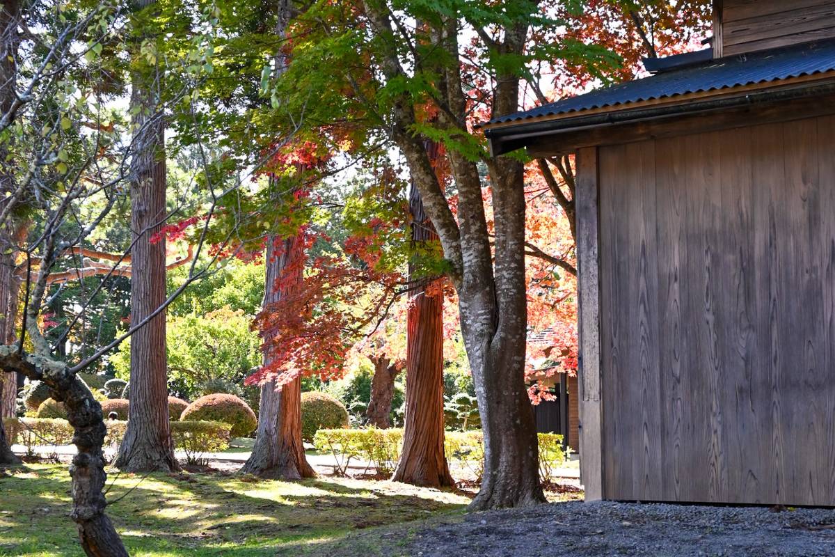 香雪園（見晴公園）