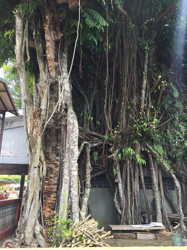 Banyan Tree Temple