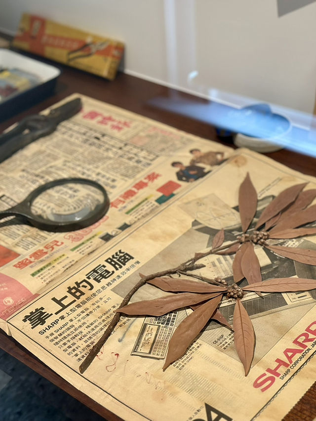 植物總類多達2000種!台灣第一座植物園 植物總類多達2000種!台灣第一座植物園