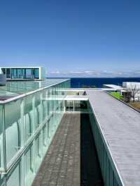 🎨 Seaside Serenity at Yokosuka Museum of Art