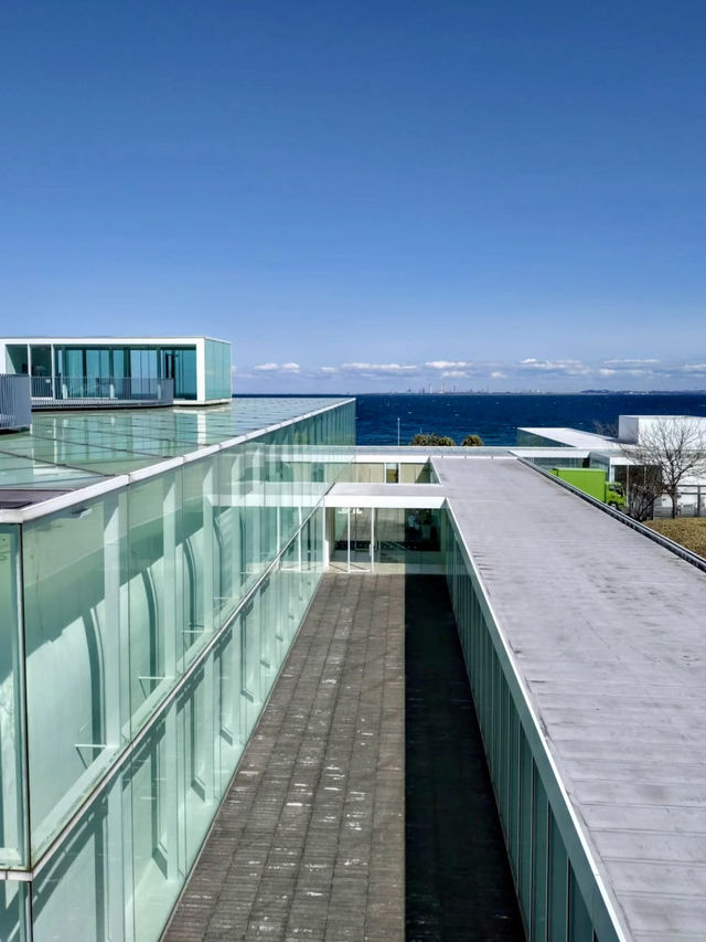 🎨 Seaside Serenity at Yokosuka Museum of Art