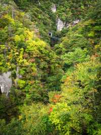 🌾 หุบเขานารุโกะ (Naruko Gorge, 鳴子峡)