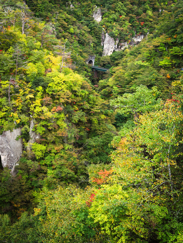 🌾 หุบเขานารุโกะ (Naruko Gorge, 鳴子峡)