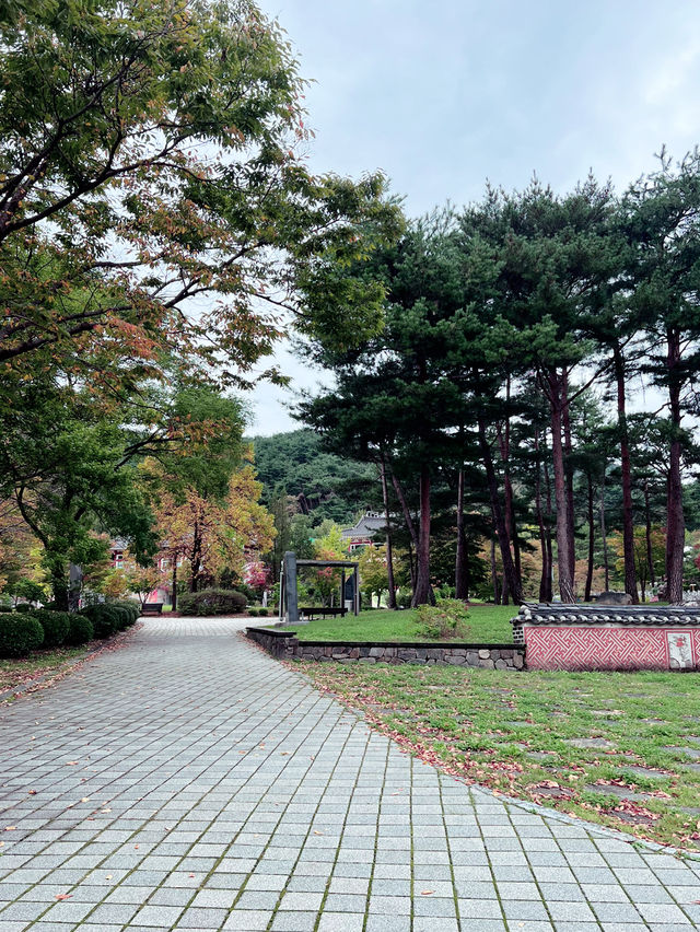 용문산 공원의 풍경