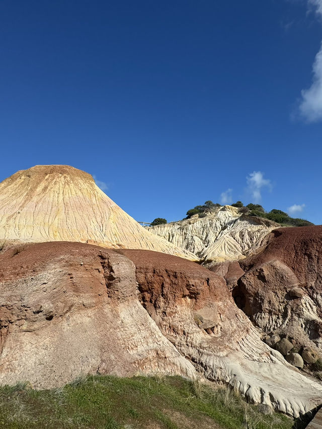 【オーストラリア・南オーストラリア】海と地質の不思議を体感「Hallett Cove Boardwalk」🌊🪨