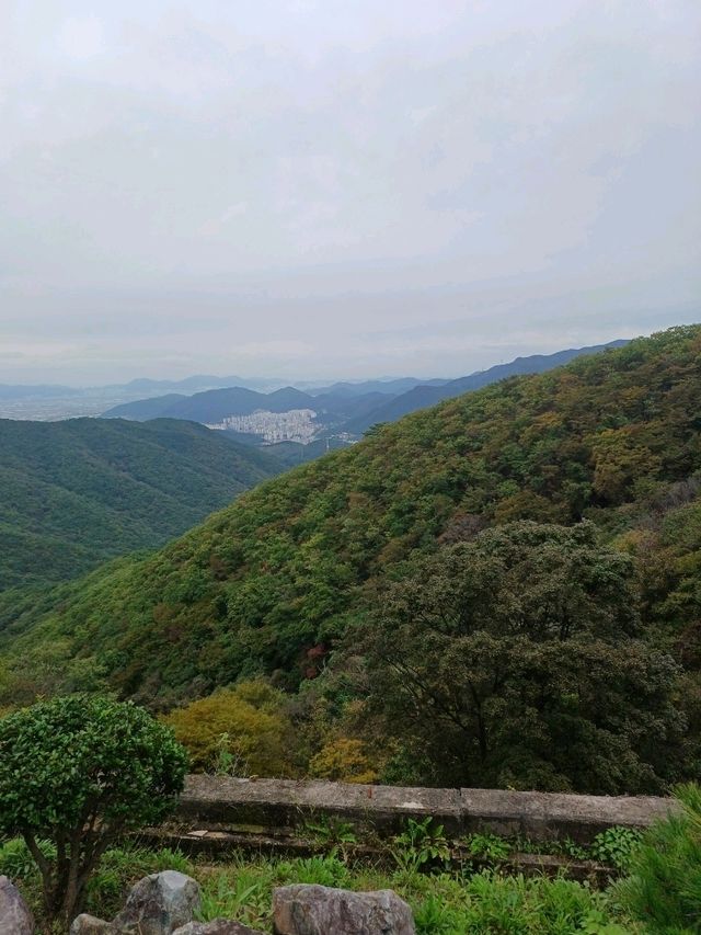 고즈넉한 산사, 마음이 쉬어가는 김해 장유사🌿