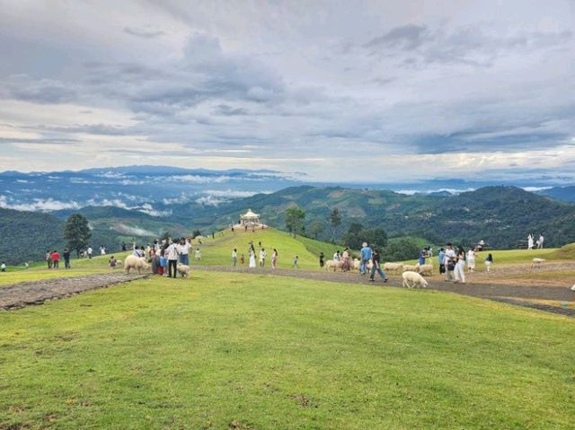 🌿 Akha Farmville ดอยช้าง —ฟีลเหมือนอยู่ฟาร์มยุโรป