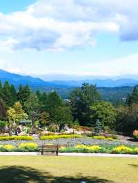 蒜山香草樂園