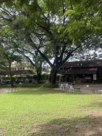 ขนมปังเกลือ • คาเฟ่ลำปาง ✨