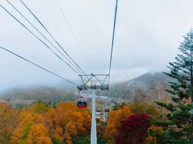 홋카이도 여행 계획