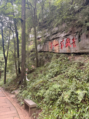 Ancient Beauty Awaits🏯