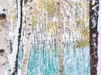 ❄️🍁비에이 폭설과 함께한 가을 비에이 투어