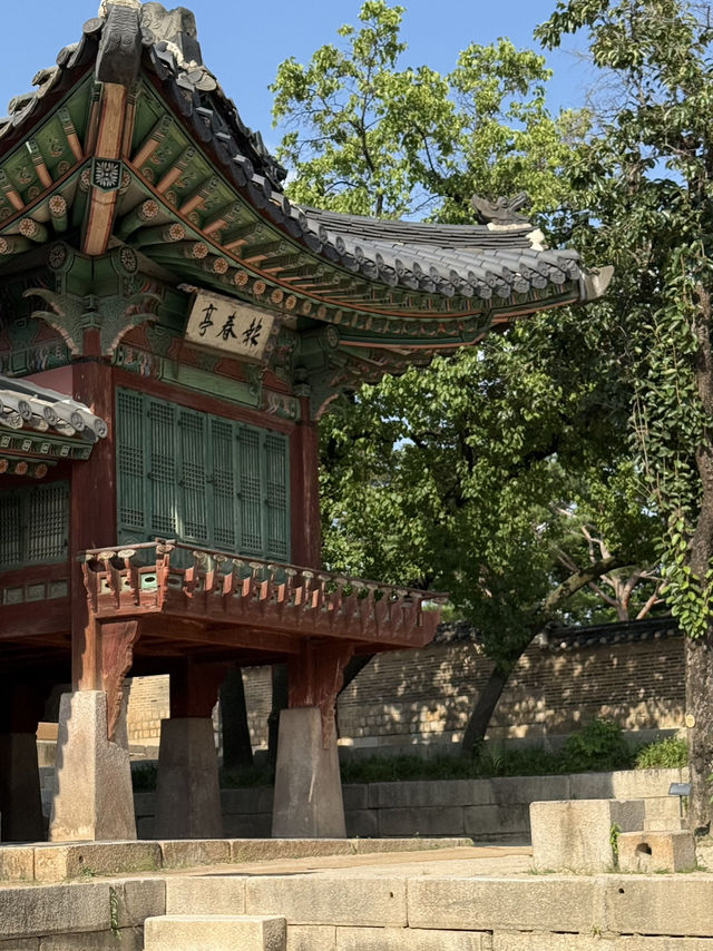 Changgyeonggung Palace — where Seoul feels different 🤍