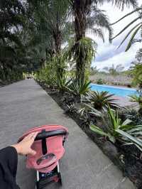 Onyx Resort Dream✨