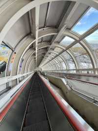 Breathtaking Views from the Ski Jump Tower ❄️