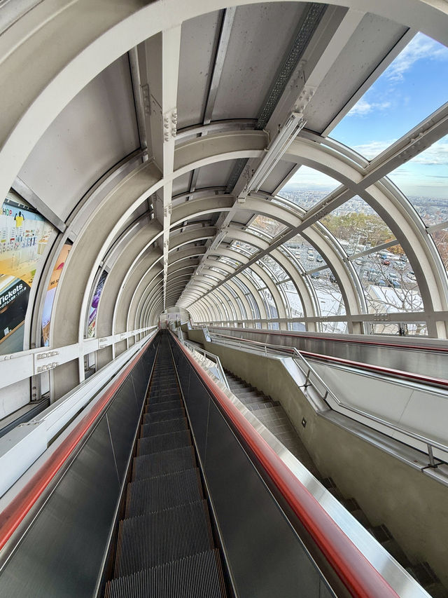Breathtaking Views from the Ski Jump Tower ❄️ Breathtaking Views from the Ski Jump Tower ❄️