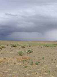 Khongoryn Els - Stunning and Unforgettable