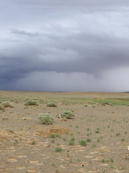 Khongoryn Els - Stunning and Unforgettable