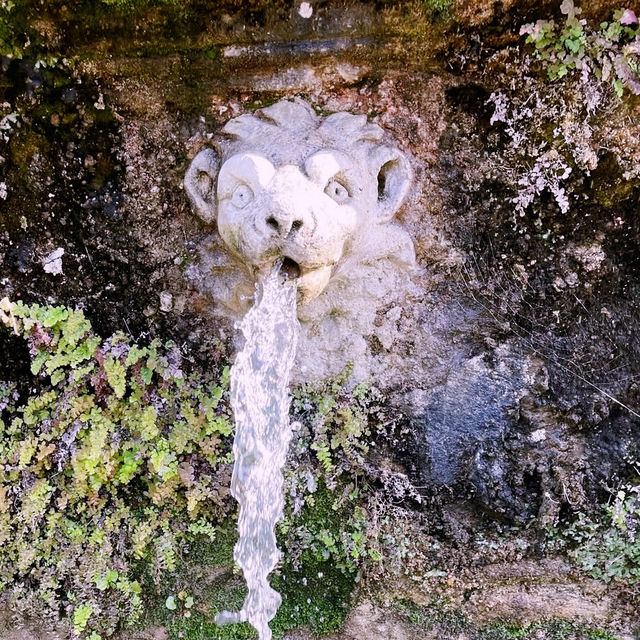 A Renaissance Water Wonderland: Family Adventure at Villa d'Este