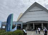 桜島も見える！ロケーション最高の水族館