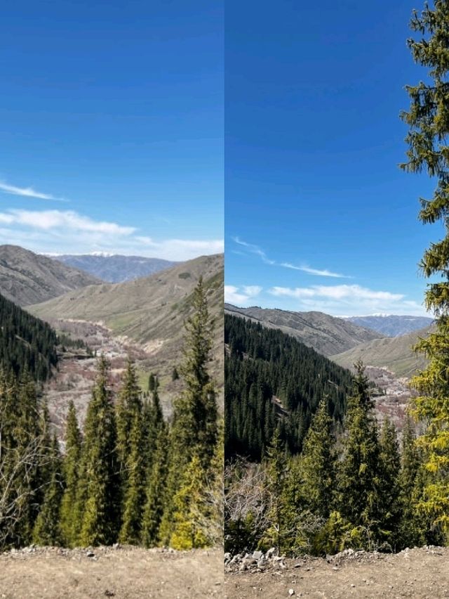 산속에 숨어 있던 비밀 정원을 만난 듯한 순간 산속에 숨어 있던 비밀 정원을 만난 듯한 순간