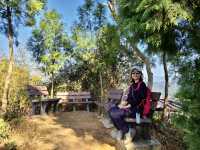 【新田步道・輕登小百岳-聚興山｜的山林小旅行】