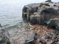 아름다운 바다 여행 📍제주도