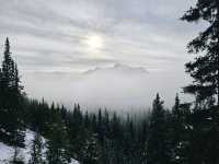 Castle lookout trail