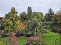 Queen Elizabeth Park