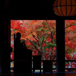 【🍁見逃したら1年待たなきゃ！関西の紅葉完全ガイド】京都・奈良の知られざる紅葉スポットを完全ガイド！見頃も徹底解説！見逃せない！🚃