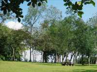 Picnic Amidst Nature at Wetland Putrajaya