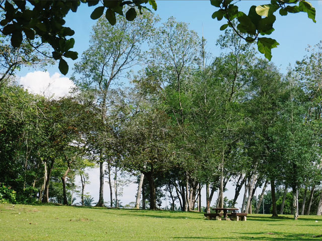 Picnic Amidst Nature at Wetland Putrajaya