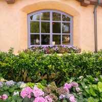 บ้านขนมปัง @เซี่ยงไฮ้ดิสนีย์แลนด์