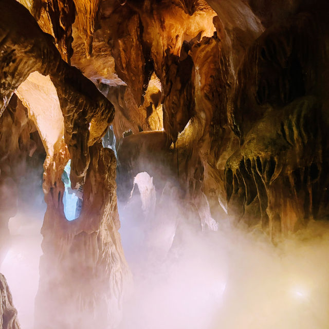 U Forests Cafe @ระยอง U Forests Cafe @ระยอง