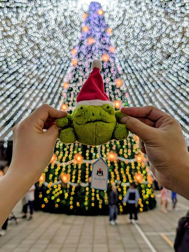 屏東景點✨屏東公園暖冬聖誕燈節🎄活動資訊