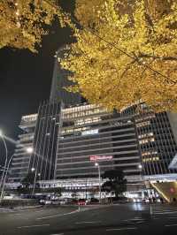 名古屋車站前金黃暴風！百貨步道銀杏滿天飛，像走進日劇