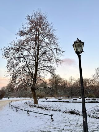 Снежные прогулки по спокойному саду Красинских